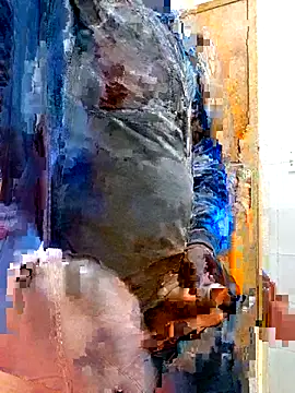 Snapshot of Jeffikuis chatting on September 23, 3:31 am Jeffikuis online show from September 23, 3:31 am