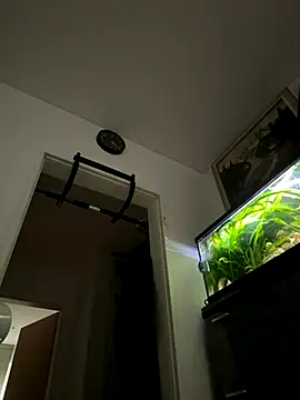 Toyjungee online show from September 22, 6:59 am