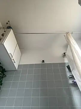 Toyjungee online show from October 12, 12:15 pm