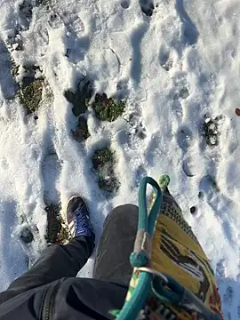 Snapshot of Mrbighardcock chatting on January 14, 10:21 am Mrbighardcock online show from January 14, 10:21 am