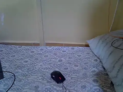 Snapshot of Melia0 chatting on February 11, 10:53 am Melia0 online show from February 11, 10:53 am