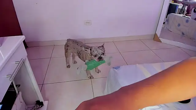 SophiieWilson  online show from October 27, 3:43 am