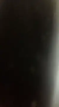 Snapshot of Likewise chatting on December 22, 9:09 pm Likewise online show from December 22, 9:09 pm