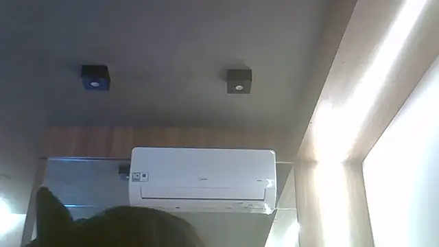 Snapshot of Skinny-Kitten chatting on June 19, 12:20 pm Skinny-Kitten online show from June 19, 12:20 pm