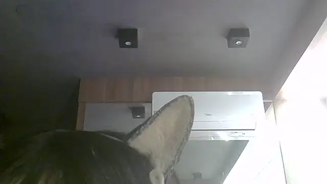 Snapshot of Skinny-Kitten chatting on July 11, 11:35 am Skinny-Kitten online show from July 11, 11:35 am