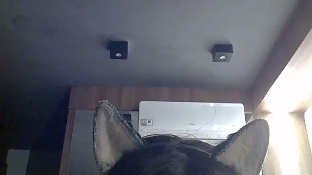 Snapshot of Skinny-Kitten chatting on July 12, 7:43 am Skinny-Kitten online show from July 12, 7:43 am