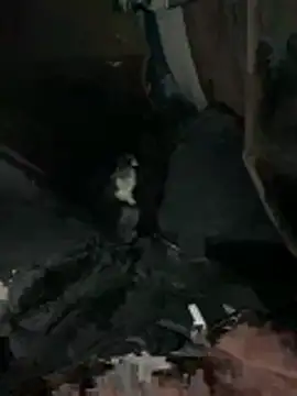 Snapshot of prekumstud chatting on February 20, 11:43 am prekumstud online show from February 20, 11:43 am