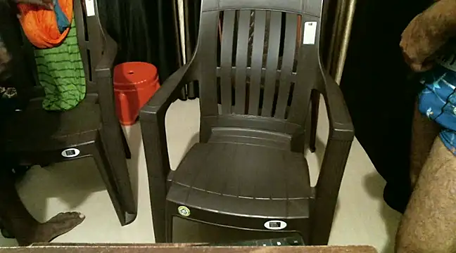 Snapshot of indian2 chatting on December 21, 4:46 pm indian2 online show from December 21, 4:46 pm