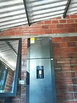 Yelly online show from March 13, 3:40 pm