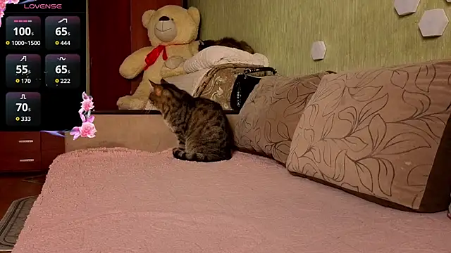 Miss Flexi fit online show from April 9, 4:56 pm