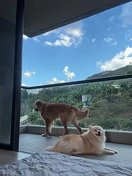 Snapshot of Helenbronwx chatting on January 17, 9:28 pm Helenbronwx online show from January 17, 9:28 pm