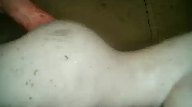 xxxlecram online show from March 5, 9:48 pm