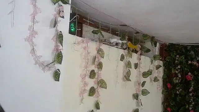 Snapshot of emmafox_ls chatting on November 2, 11:29 pm emmafox ls online show from November 2, 11:29 pm