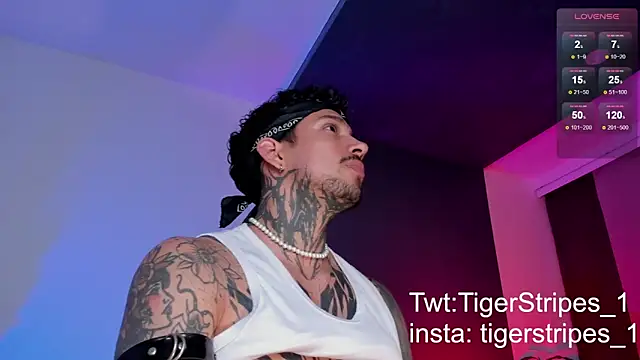 Snapshot of TigerStripes1_ chatting on March 11, 10:42 pm TigerStripes1 online show from March 11, 10:42 pm