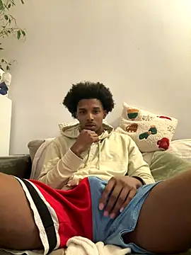 Snapshot of Kokinou chatting on November 17, 1:33 am Kokinou online show from November 17, 1:33 am